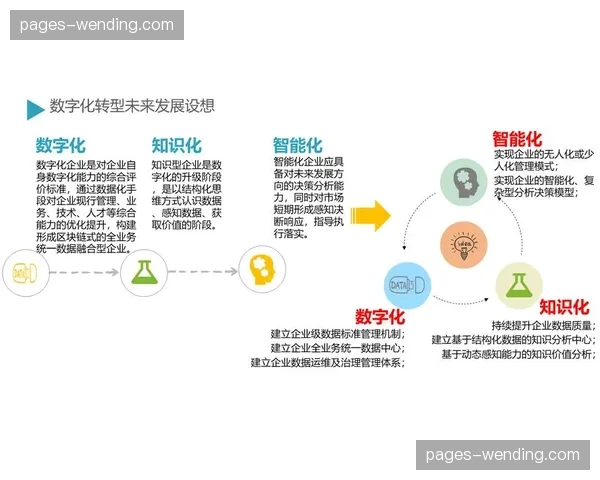 数字化转型步伐延伸至非核心业务 完善系统配套能力
